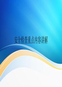 政府安全检查重点内容讲解pptx