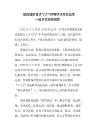 阳西县织篢镇“3·21”供电铁塔高处坠落docx