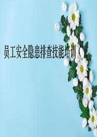 员工安全隐患排查技能培训pptx