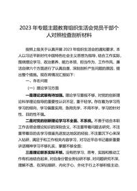 2023年专题主题教育组织生活会党员干部个人对照检查剖析材料docx