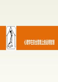 心理学在安全管理上的运用智慧（75页）pptx