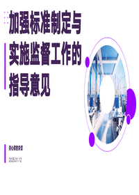 加强标准制定与实施监督工作的指导意见pptx