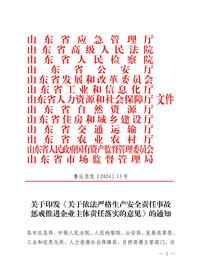 关于印发《关于依法严格生产安全责任事故惩戒推进企业主体责任落实的意见》的通知（以此为准） (1)(1)pdf