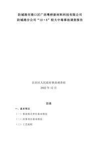 防城港市港口区广西粤桥新材料科技有限公司docx
