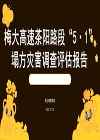 梅大高速茶阳路段“5·1”塌方灾害调查评估报告 (2)pptx 梅大高速茶阳路段“5·1”塌方灾害调查评估报告 (2)pptx