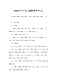 安全生产标准化自评报告(十篇)docx