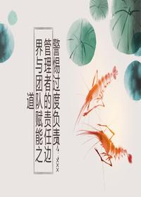 管理者过度负责问题与对策pptx