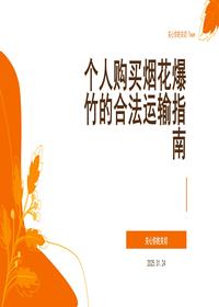 个人购买烟花爆竹的合法运输指南 (1)pptx