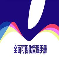 全面可视化管理手册ppt