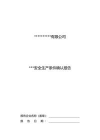 安全生产条件确认表docx