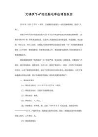 文城镇“1·6”村民触电事故调查报告docx