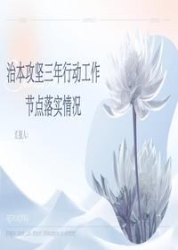 治本攻堅三年行動(dòng)工作節點(diǎn)落實(shí)情況（40頁(yè)）pptx