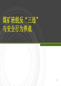 反三违与安全行为养成（90页）pptx