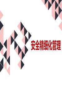安全精细化管理pptx