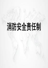 消防安全责任制培训pptx