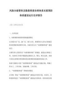 双重预防体系建设运行自评报告(7页)docx