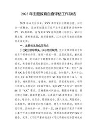 2023年主题教育自查评估工作总结docx