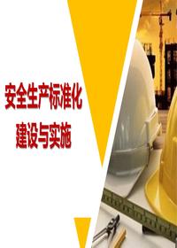安全生产标准化建设与实施(81页)pptx