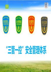 企业安全三管一控管理体系pptx
