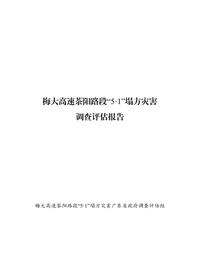 梅大高速茶阳路段“5·1”塌方灾害__调查评估报告pdf