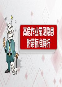 高危作業(yè)企業(yè)常見(jiàn)隱患附帶標準解析（47頁(yè)）pptx
