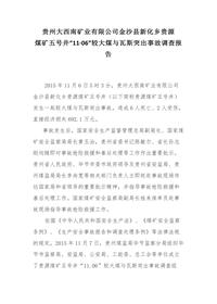 贵州大西南矿业有限公司金沙县新化乡贵源docx