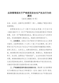 應(yīng)急管理部關(guān)于嚴(yán)格規(guī)范安全生產(chǎn)執(zhí)法行為的通知doc