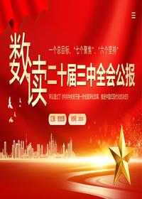 数读二十届三中全会公报PPT模板pptx