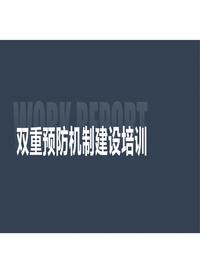 双重预防机制建设培训pptx