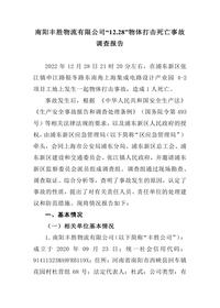 南阳丰胜物流有限公司“1228”物体打击死亡事故调查报告docx