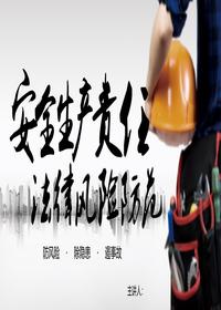 安全生产责任法律风险防范培训（53页）pptx