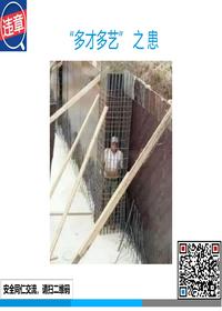 多才多艺患ppt
