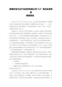 新疆籽亲文化产业投资有限公司“56” 高处坠落事故docx