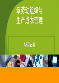劳动组织与生产成本管理ppt