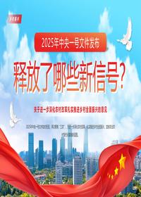 2025中央一号文件pptx