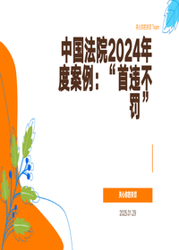 中国法院2024年度案例：“首违不罚”pptx