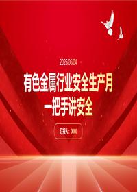 有色金属行业安全大会讲话要点一把手讲安全pptx