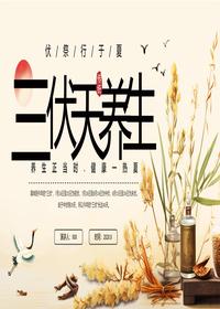 三伏天养生pptx