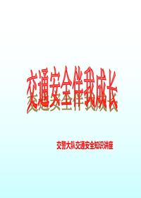 中小学生交通安全教育（53页）pptx