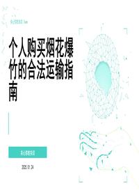 個人購買煙花爆竹的合法運輸指南pptx