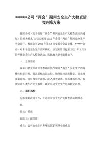 公司“两会”期间安全生产大检查活动方案(23页)docx
