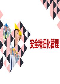 安全精细化管理(64页)pptx