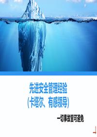 先进安全管理经验(卡特尔、有感领导)丨65页ppt