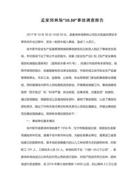 孟家岗林场“1030”事故调查报告docx