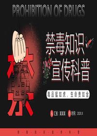 禁毒知识宣传科普pptx