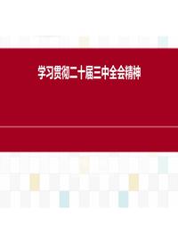 课件:学习贯彻二十届三中全会精神(人大路克利)pdf