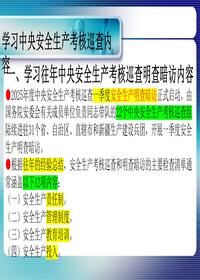 往年中央安全生产考核巡查明查暗访内容pptx 往年中央安全生产考核巡查明查暗访内容pptx
