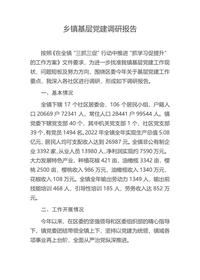 乡镇基层党建调研报告docx
