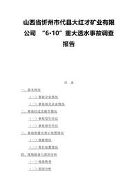 山西省忻州市代县大红才矿业有限docx