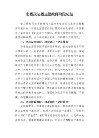 市委政法委主题教育阶段总结docx